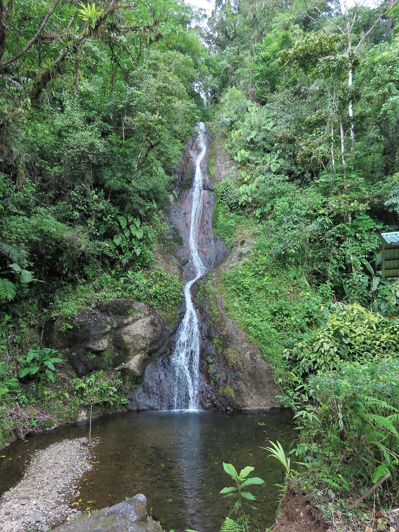 Waterfall at Quelitales. Photo © Gina Nichol