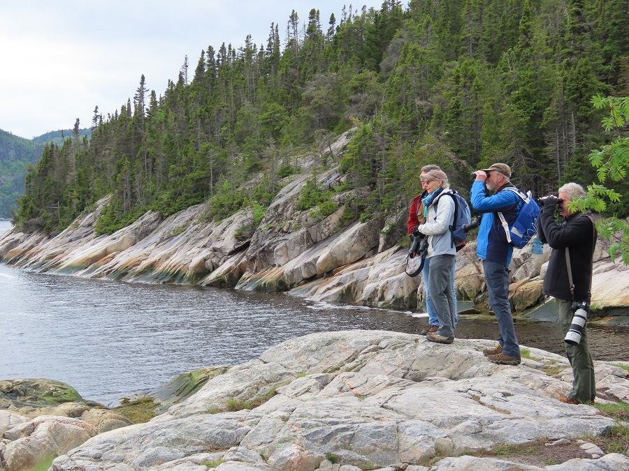 Birding the coast at Tadoussac. Photo © Gina Nichol 