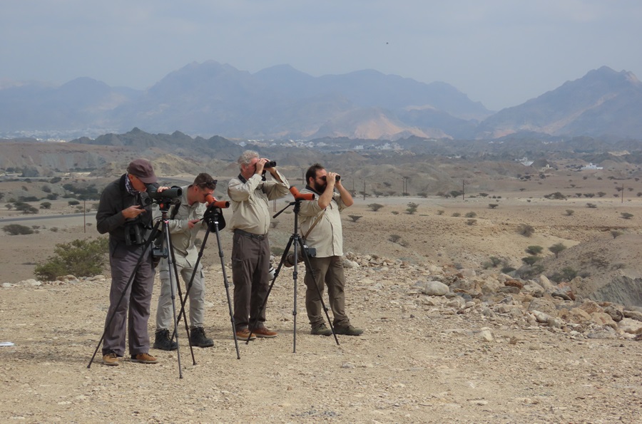 Birding in the desert, Oman. Photo © Gina Nichol