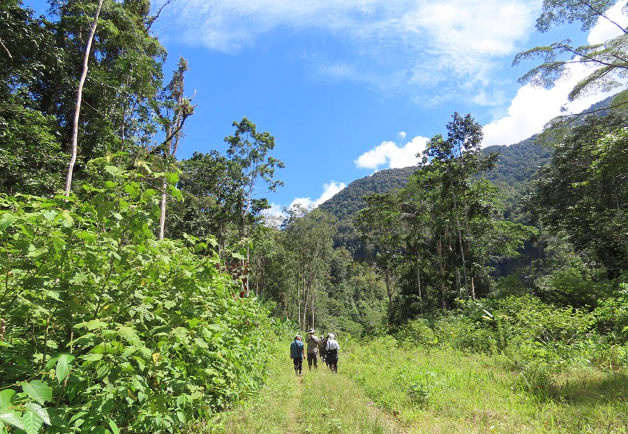 Birding the Arfak Mountains. Photo © Gina Nichol 