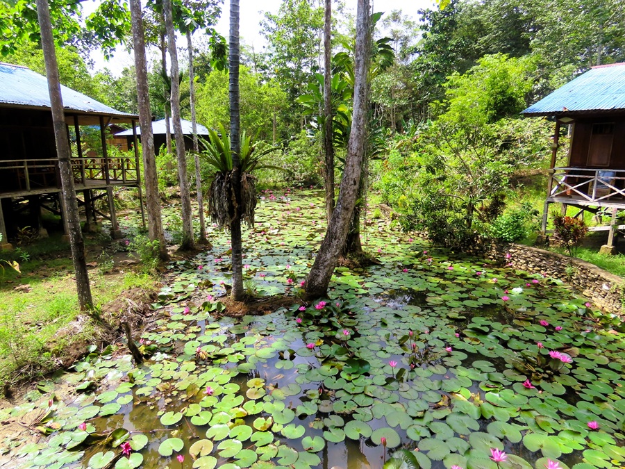 Lodge at Nimbokrang. Photo © Gina Nichol 