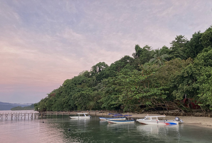 Views from the lodge at Raja Ampat. Photo © Gina Nichol 