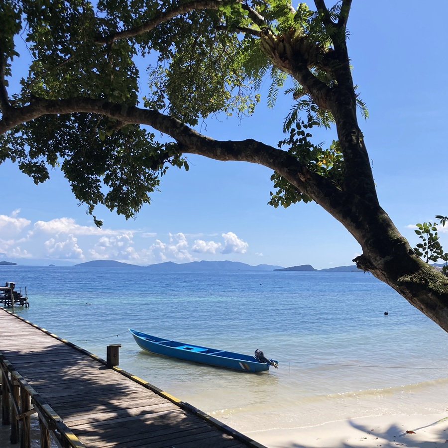 Raja Ampat © Gina Nichol 