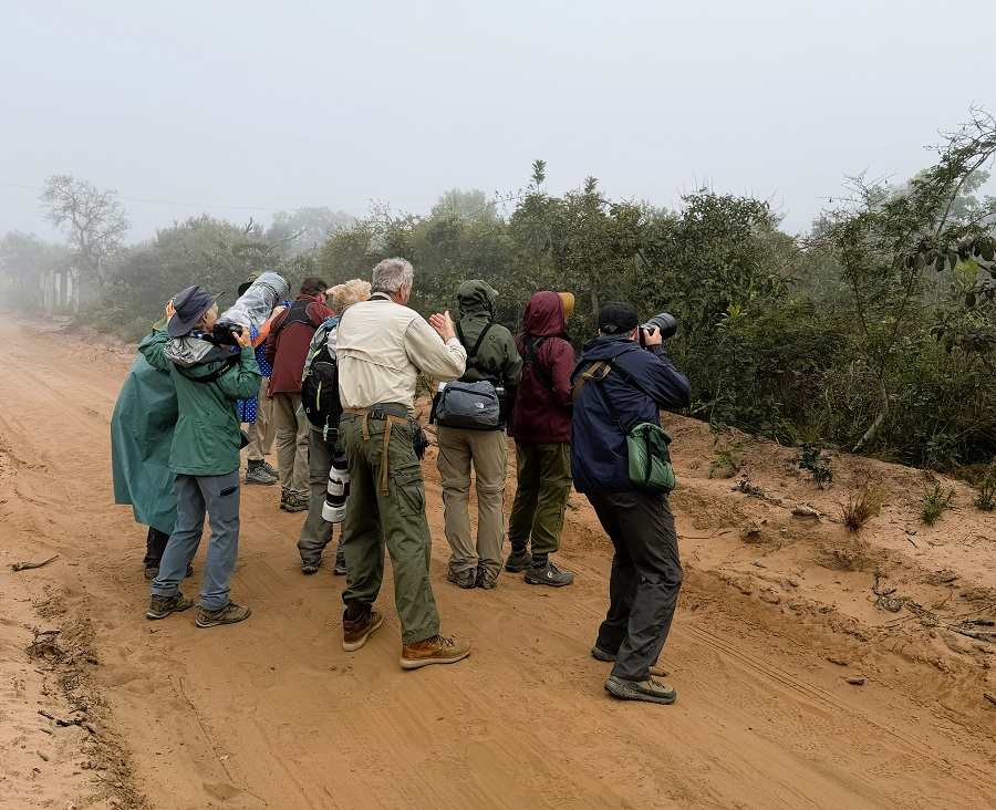 Chapada birding. Photo &copy; Gina Nichol 