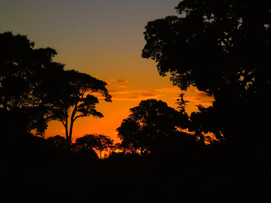 Pantanal sunset &copy; Gina Nichol