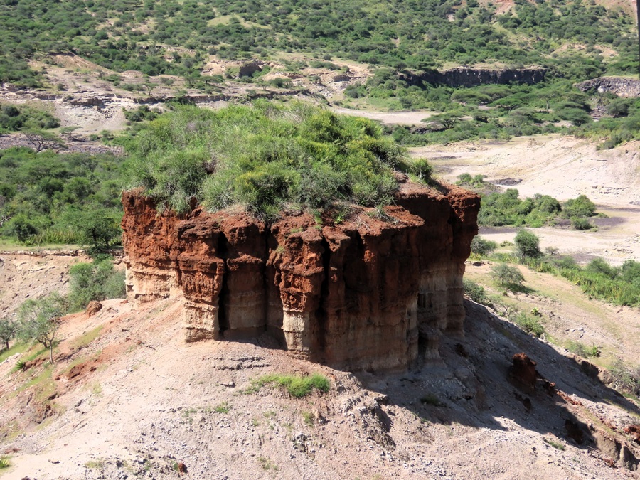 Olduvai Gorge, the "Cradle of mankind" &copy; Gina Nichol