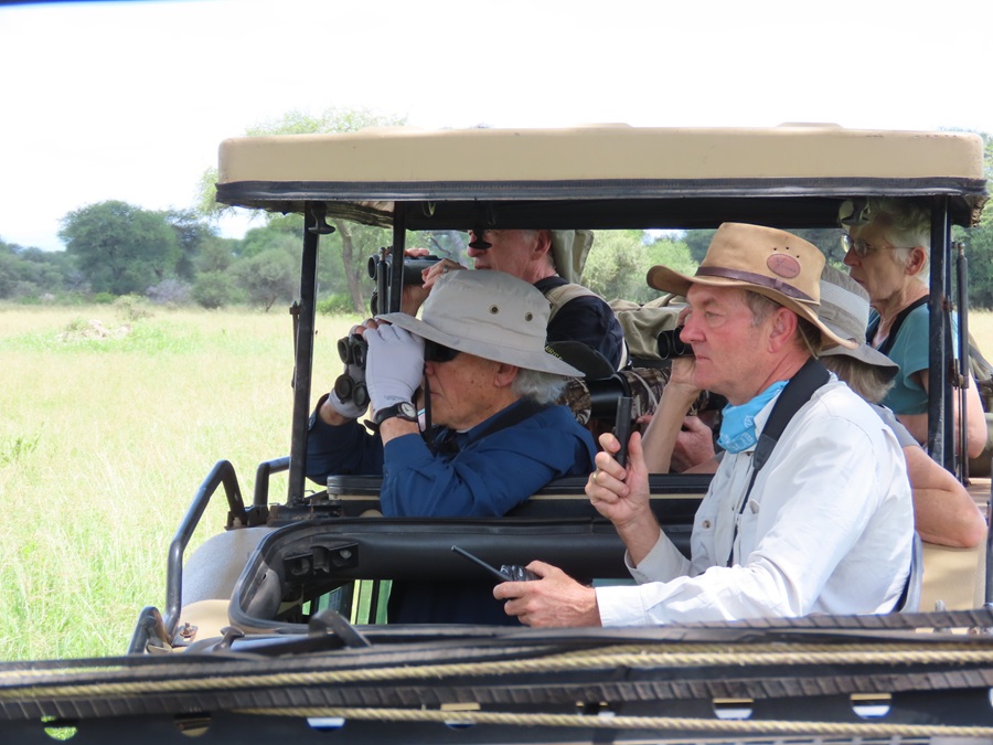 Safari Birding &copy; Gina Nichol