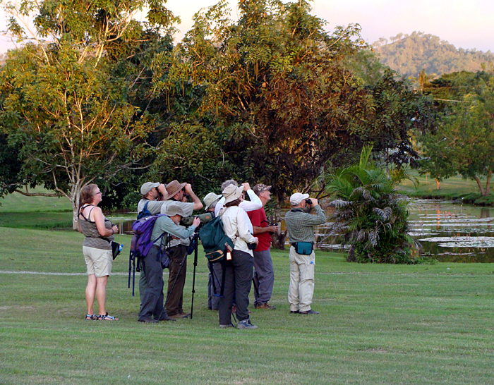Birding at the Pacific Adventist University grounds. Photo by Gina Nichol.