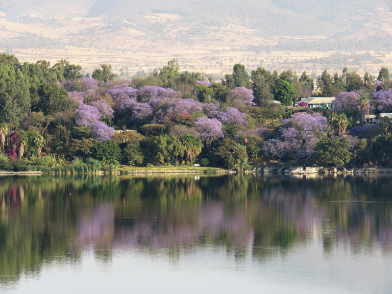 View from Viewpoint Lodge. Photo © Gina Nichol.