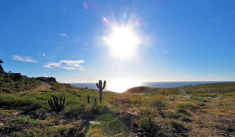 Baja sun. We'll miss it! Photo © Gina Nichol