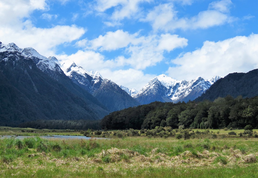 Knob Flats. Photo by Gina Nichol.