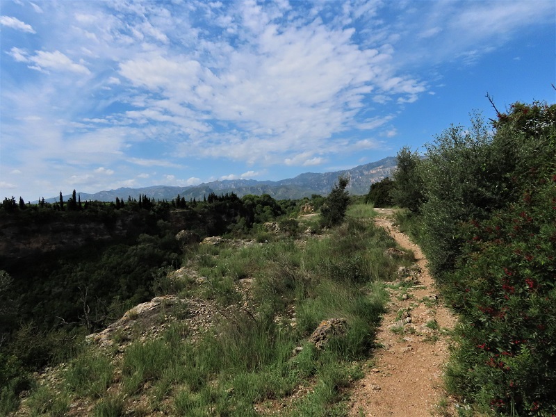 Landscape north of the Ebro Delta. Photo © Gina Nichol.